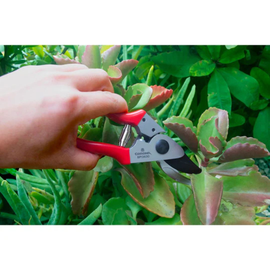 Pocket Pruner – Corona – 1/2″
